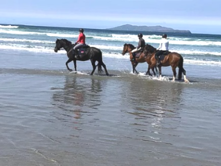 Emerald Isle Coastal Trail